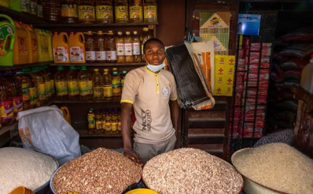 Top 10 Profitable Businesses Nigerians Can Start with Small Capital