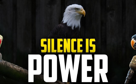 5 Powerful Reasons to Build in Silence Before You Showcase