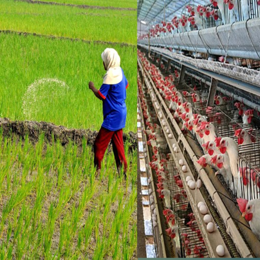 High Potential Business Ideas in Nigeria: Agribusiness & Animal Husbandry for Beginners