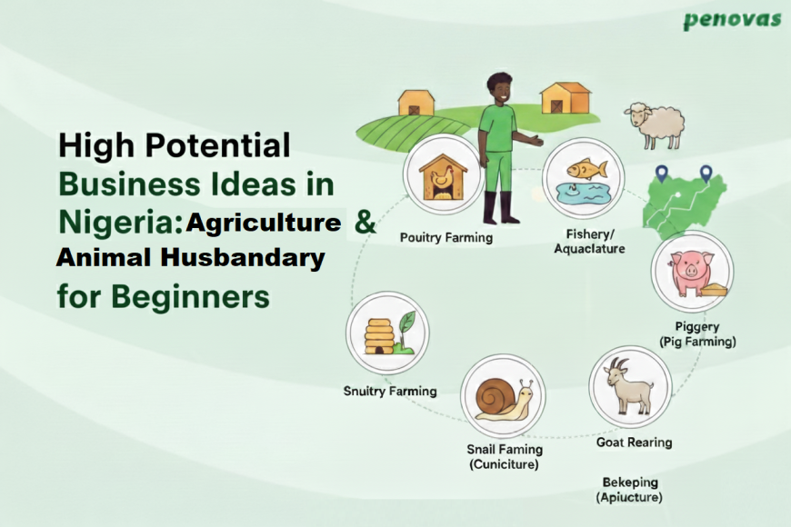High Potential Business Ideas in Nigeria: Agribusiness & Animal Husbandry for Beginners