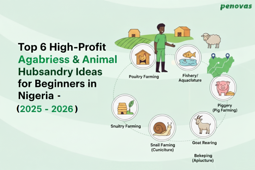 Top 6 High-Profit Agribusiness & Animal Husbandry Ideas for Beginners in Nigeria (2025)